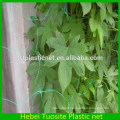 Plastic Vegetable Climbing plant support net